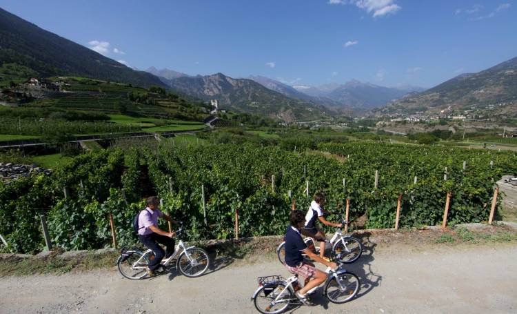 En vélo dans les vignes de la Vallée d'Aoste